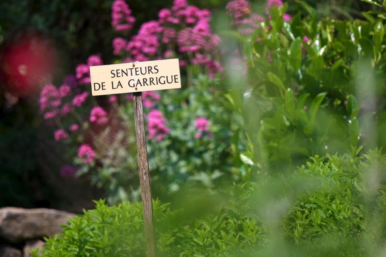 Maison De Village La Clemaline Figanieres Luaran gambar